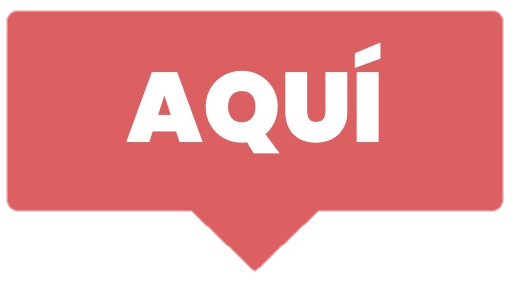 Cotizador de Seguro de Auto